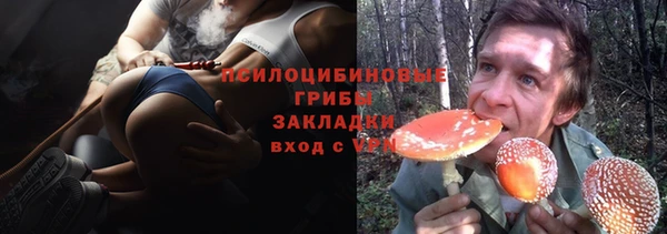 крисы Киренск