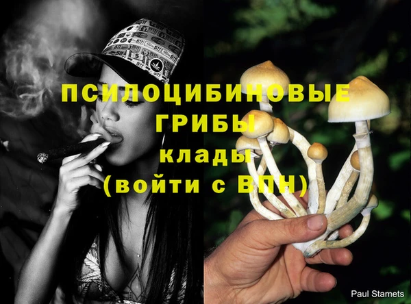 mdma Кинешма