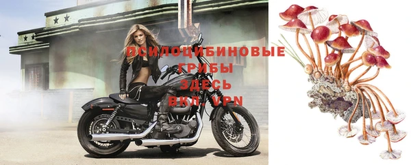 крисы Киренск