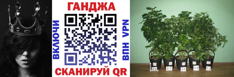 Купить  Гусиноозёрск  Канабис семена 
